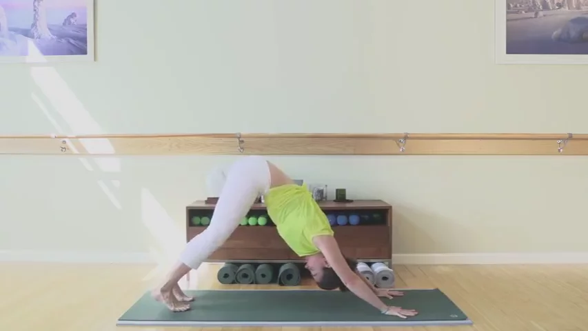 Beginners Yoga with Carolyn