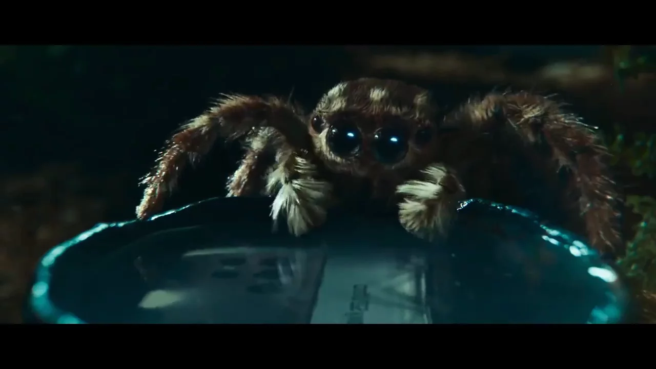 Samsung The Spider and the Window (Cannes Advertising Festival 2022)