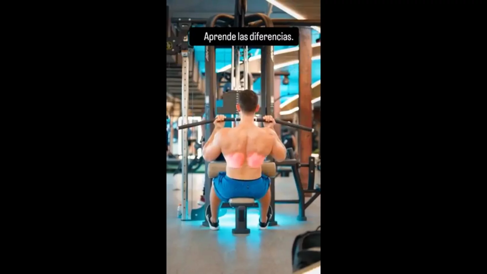 Planet Fitness Muscles Exercises